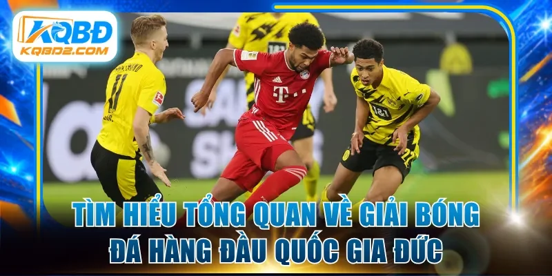 Tìm hiểu tổng quan về giải bóng đá hàng đầu quốc gia Đức